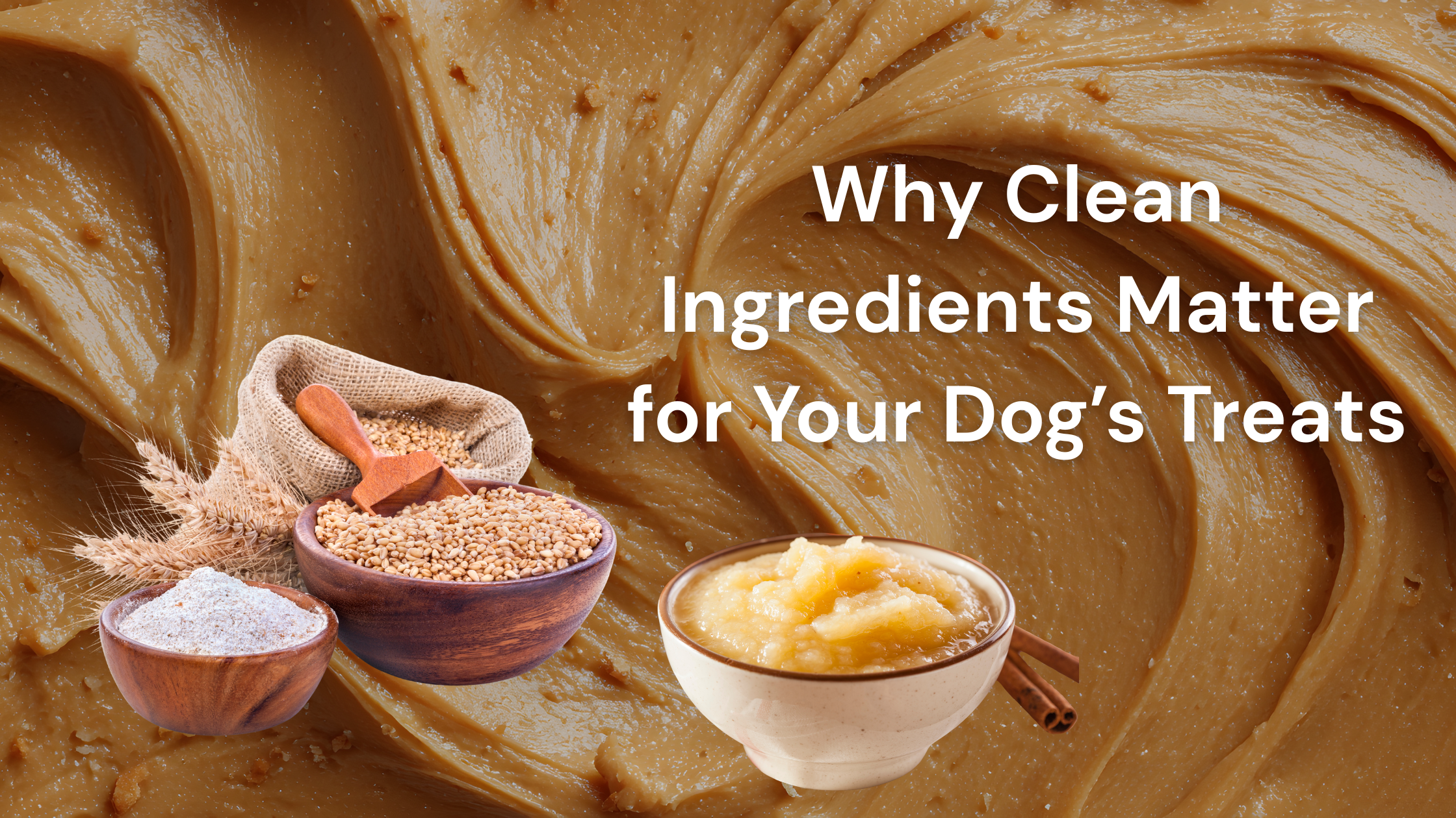 Why Clean Ingredients Matter for Your Dog’s Treats