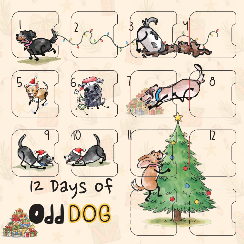 12 Days of Odd Dogs Advent Calendar